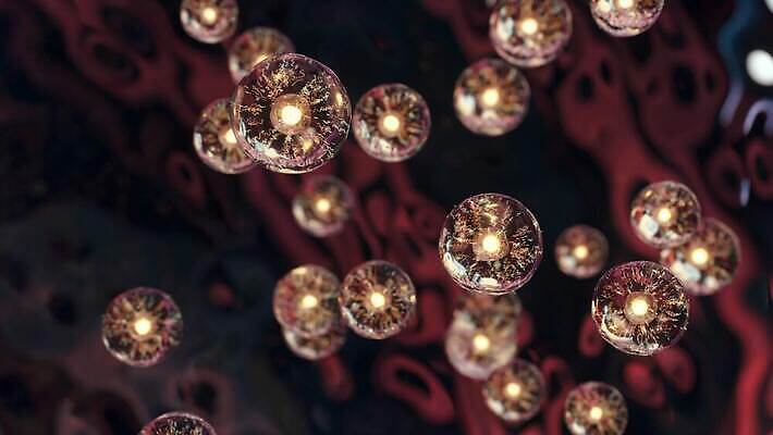 줄기 과학 백그라운드 생물 세포 사람없음 약 3D 계란 성장 원형 투명 혈액 바이러스 확대 질병 DNA 생명공학 생물학 분열 암 박테리아 바이오 복제 여의주 유전 4K MOV 해외동영상 클립영상 도형 식물 교육 의학 알 디지털합성 동영상 파일형식