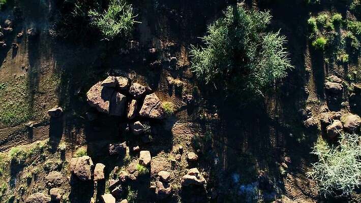 나무 식물 모션 아프리카 자연 건조 안테나 사람없음 야외 환경 황무지 클립 암초 동영상 내추럴 나미비아 남아프리카 생태학 조감도 HD MOV 해외동영상 클립영상 교육 나라 통신 생태계 파일형식