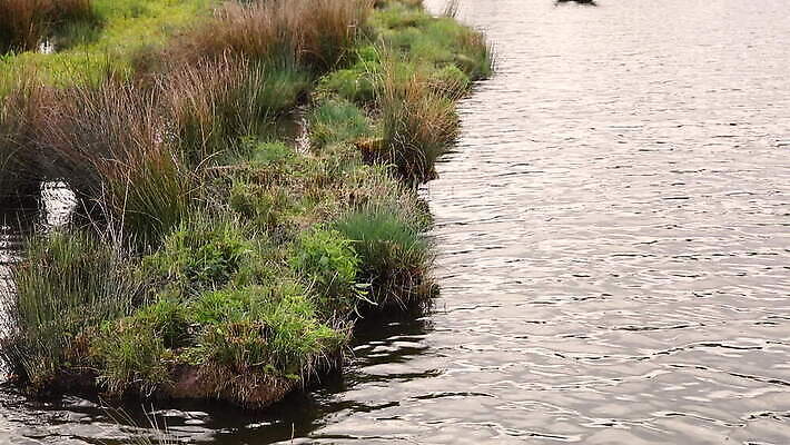 나무 식물 공원 길 호수 여행 백그라운드 이동 자연 하늘 풍경 초원 사람없음 야외 초록색 물 여름 파란색 강 반사 환경 정원 봄 바위 시골 연못 개울 숲 폭발 내추럴 MOV 해외동영상 클립영상 자연요소 계절 공공시설 컬러 컨셉 돌_바위 생태계 동영상 파일형식