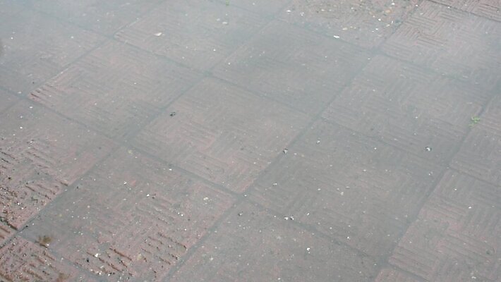 라이프스타일 공원 꽃 감정 도로 결혼 운동화 신발 자연 휴가 거리 부츠 선물 사랑 사람없음 야외 빨간색 물 장미 반사 산책 젖음 추위 슬픔 분노 가을 물방울 생일 날짜 보행자 던지기 보행로 실패 쓰레기 폐기물 심볼 사인 웅덩이 먼지 분무기 붕괴 잔물결 MP4 해외동영상 클립영상 자연요소 식물 계절 공공시설 기념일 길 물결 컬러 교통시설 모션 휴식 이벤트 생활 좌절 생태계 동영상 파일형식