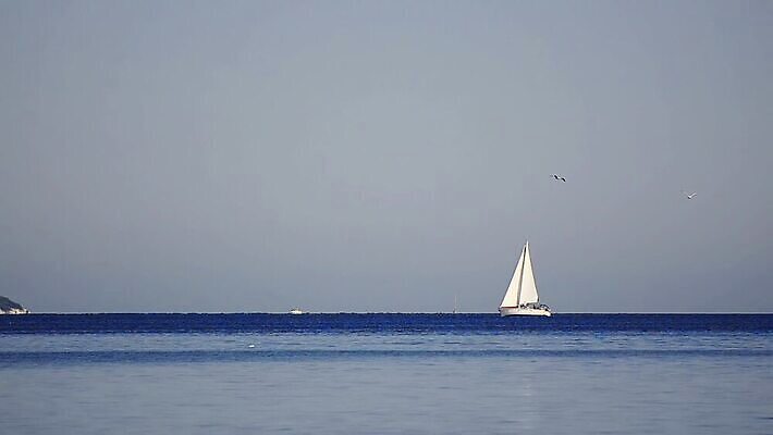 모래 스포츠 파도 바다 여행 요트 교통시설 하늘 바람 휴가 휴식 항해 사람 사람없음 물 파란색 태양 여행객 맑음 흰색 보트 고급 크루즈 함선 하와이 네비게이션 레가타 수평선 MOV 해외동영상 클립영상 자연요소 컬러 교통 컨셉 배_교통 날씨 미국 시설 동영상 파일형식