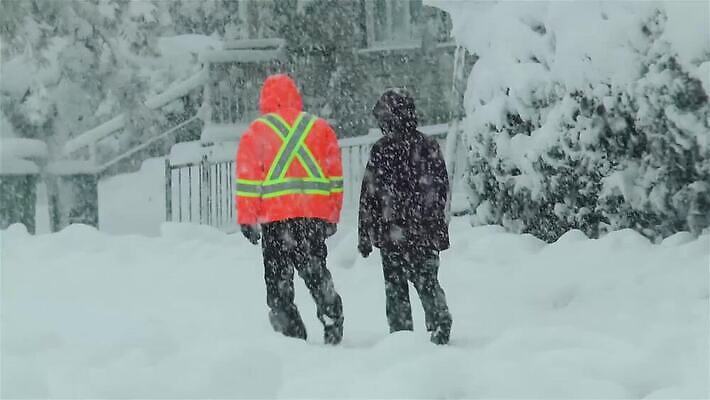 나무 계절 조각 겨울 자연 바람 날씨 거리 사람 사람없음 야외 걷기 냉동 얼음 산책 재킷 장비 추위 덮개 흰색 도시 보행로 위험 지역 폭풍 타운 이웃 눈보라 축적 심각 엘리먼트 폭설 MOV 해외동영상 클립영상 자연요소 식물 길 컬러 컨셉 모션 휴식 눈_날씨 외투 뚜껑 자연재해 생태계 동영상 파일형식