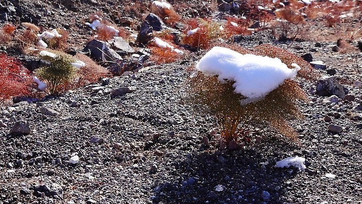 구름 공원 모래 여행 겨울 자국 자연 하늘 휴가 산 건조 파노라마 풍경 사람없음 야외 파란색 계곡 맑음 미국 트래킹 하이킹 사막 흰색 황무지 숲 언덕 캘리포니아 통과 내추럴 요세미티국립공원 전국 절정 4K MP4 해외동영상 클립영상 자연요소 계절 공공시설 컬러 북아메리카 레저 날씨 촬영기법 국립공원 생태계 동영상 파일형식