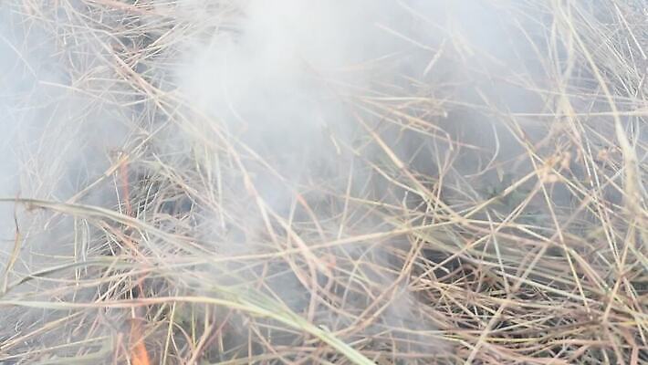 나무 식물 백그라운드 오렌지 자연 불 건조 풍경 사람없음 야외 목재 빨간색 초록색 여름 노란색 환경 검은색 봄 손상 흰색 긴급 뜨거움 연기 숲 위험 큼 면도기 내추럴 연소 그런지 석탄 재 재앙 화상 MOV 해외동영상 클립영상 자연요소 계절 컬러 컨셉 과일 재료 위생용품 상처 크기 생태계 동영상 파일형식