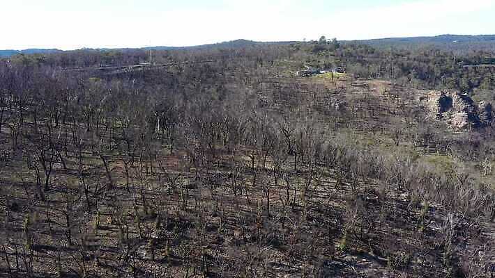 나무 구름 여행 자연 하늘 불 날씨 산 건조 안테나 풍경 사람없음 야외 초록색 여름 파란색 햇빛 갈색 환경 계곡 검은색 뜨거움 호주 숲 땅 언덕 암초 가뭄 동영상 드론 치유 4K MP4 해외동영상 클립영상 자연요소 식물 계절 컬러 통신 태양 오세아니아 생태계 파일형식