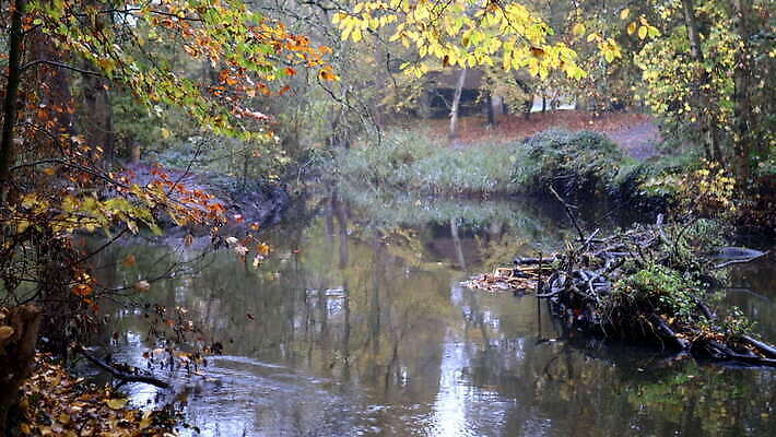 접시 손 열매 어린이 음식 컬러 다이어트 과일 재료 탁자 디저트 건강 사람 사람없음 목재 숟가락 우유 추위 흰색 신선 사발 달콤 맛 아침식사 시리얼 크림 오브젝트 유기농 블루베리 요거트 내추럴 칼슘 핸드메이드 귀리 그래놀라 맛있는 4K MOV 해외동영상 클립영상 나무 식물 식기 웰빙 가구 컨셉 유제품 곡류 수저 신체부위 식사 사기그릇 동영상 파일형식