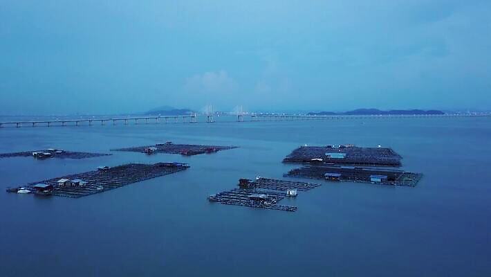 계절 바다 섬 여행 자연 하늘 낚시 어류 사람없음 야외 물 파란색 관광지 하이앵글 농장 환경 성장 신선 새장 어장 개발 밭일 수경재배 4K MOV 해외동영상 클립영상 자연요소 뷰포인트 컬러 농업 레저 수중동물 생태계 동영상 케이지 파일형식
