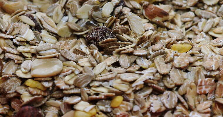 열매 음식 다이어트 과일 아침 건강 사람없음 식사 우유 견과류 신선 달콤 맛 아침식사 낟알 시리얼 먹기 단백질 뮤즐리 채식주의자 핸드메이드 비건 그래놀라 4K MOV 해외동영상 클립영상 주간 식물 컨셉 모션 유제품 채식 동영상 영양소 파일형식