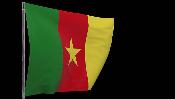 배너 물결 사람없음 깃발 깃대 봉 애국심 전국 카메룬 4K MOV 해외동영상 클립영상 아프리카 동영상 파일형식