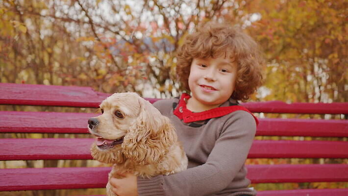동물 공원 행복 잎 벤치 관계 포옹 자연 사랑 한명 사람 앉기 소년 야외 10대 반려동물 노란색 걷기 귀여움 환경 우정 산책 터치 스패니얼 개 리트리버 강아지 테리어 솜털 주인 기르기 동반자 유래 타격 쓰다듬기 순혈 MOV 해외동영상 클립영상 식물 1 공공시설 남자 감정 어린이 컬러 컨셉 의자 포유류 안기 모션 청소년 휴식 친구 생태계 동영상 돌봄 파일형식
