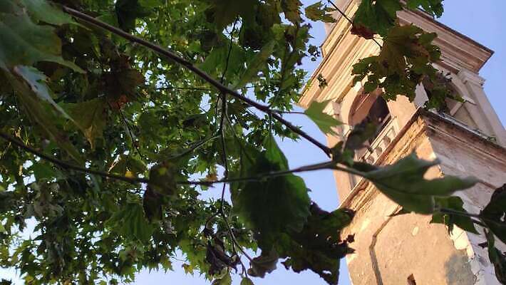 종교 건축양식 미술 사람없음 건물 교회 일출 이탈리아 중세 묘사 종탑 로마네스크 명품 베로나 4K MP4 해외동영상 클립영상 건축물 건축 유럽 종교건축 문화예술 노을 탑 역사 상품 동영상 파일형식