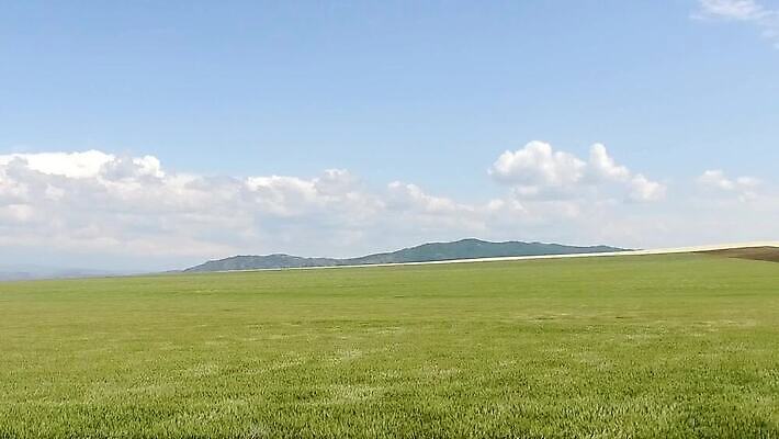 식물 계절 산업 컬러 패턴 밭 농업 벽지 건조 집게 사람없음 농작물 농장 갈색 노란색 쌓기 경기장 장비 수확 공구 시골 업무 황금 닫기 볏짚 땅 밀 보따리 유기농 질감 보리 뭉치 밀짚 흙더미 낭비 내추럴 외양간 밭일 쇠스랑 MOV 해외동영상 클립영상 웰빙 컨셉 무늬 스포츠시설 모션 곡류 흙 도구 작업 짚 동영상 파일형식 더미