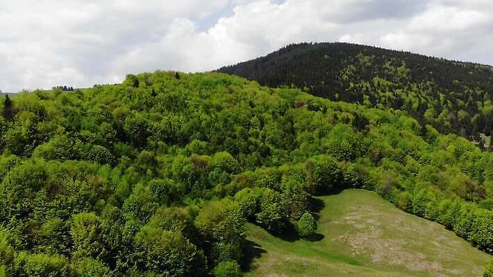 나무 응시 공원 여행 밭 자연 하늘 안테나 풍경 사람없음 야외 목재 옆모습 초록색 여름 환경 계곡 침묵 봄 전원 시골 신선 소나무 정상 숲 땅 언덕 장면 지역 루마니아 내추럴 항공촬영 드론 조감도 수평선 4K MP4 해외동영상 클립영상 식물 시선 계절 공공시설 유럽 뷰포인트 컬러 농업 재료 통신 소리 전기에너지 생태계 동영상 파일형식