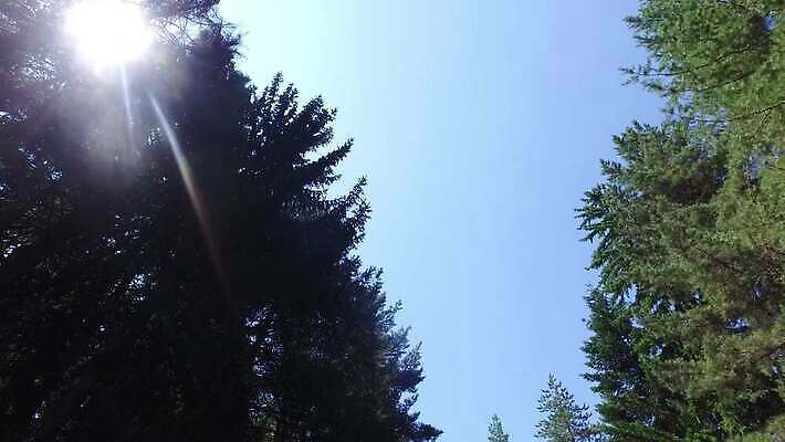 나무 라이프스타일 커플 여자 행복 도로 여행 자동차 휴가 갈색머리 미소 사람 사람없음 야외 여름 친구 햇빛 태양 파티 일몰 기쁨 꿈 운전 운전사 고급 숲 오픈카 자동 1인칭시점 4K MP4 해외동영상 클립영상 자연요소 식물 직업 헤어스타일 시선 계절 감정 길 육상교통 컨셉 관계 교통시설 모션 승용차 표정 이벤트 생활 노을 동영상 파일형식