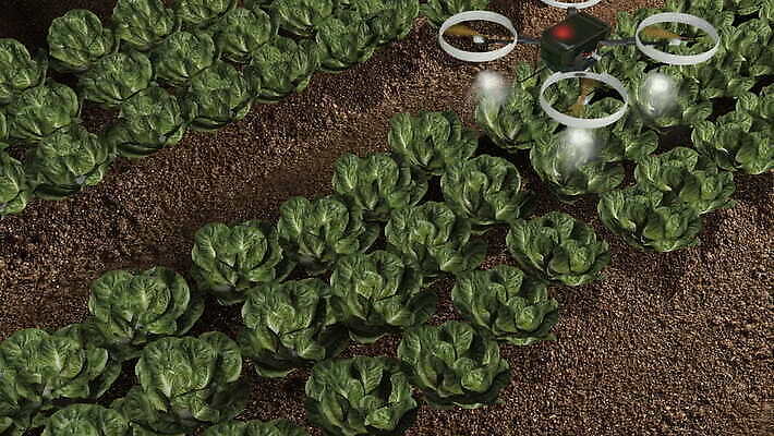 농업 사람없음 농장 정원 로봇 분무기 드론 4K MOV 해외동영상 클립영상 산업 동영상 파일형식