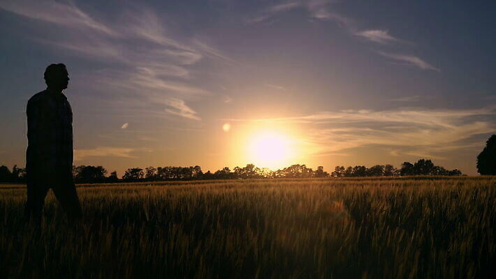 식물 남자 이동 밭 농업 자연 하늘 한명 사람 풍경 야외 여름 햇빛 태양 농경지 평화 걷기 환경 일몰 새벽 수확 성장 전원 시골 야간 저녁 땅 밀 유기농 내추럴 밭일 혼자 4K MOV 해외동영상 클립영상 자연요소 1 웰빙 계절 산업 컨셉 모션 곡류 농장 노을 전기에너지 생태계 동영상 파일형식