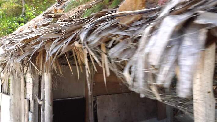 식물 아시아 섬 여행 백그라운드 잎 패턴 건축양식 태국 자연 지붕 주택 건조 사람없음 건물 목재 갈색 노란색 수확 시골 역사 오두막 대나무 질감 밀짚 내추럴 볏집 옛날 4K MP4 해외동영상 클립영상 나무 건축물 건축 나라 컬러 무늬 농업 재료 짚 생태계 동영상 파일형식