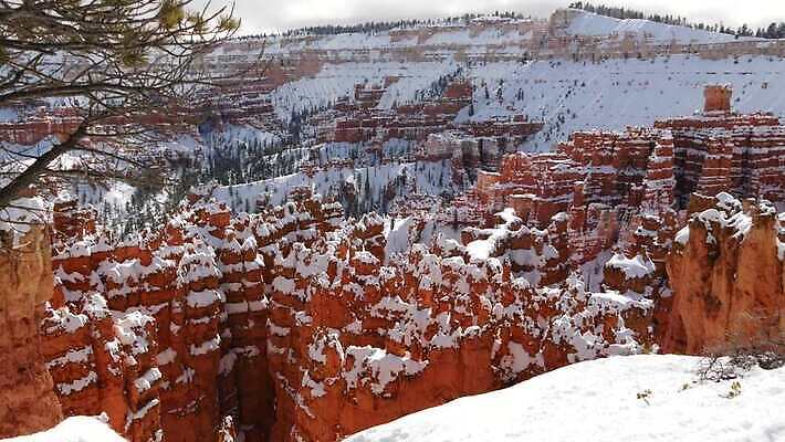 겨울 산 파노라마 국립공원 사람없음 빨간색 갈색 골짜기 미국 트래킹 하이킹 외계인 소나무 황무지 선탠 부식 사암 진홍색 애리조나 전나무 감탄 벌거벗은 웅장함 원형극장 지질학 특별함 수평선 4K MP4 해외동영상 클립영상 나무 계절 공원 교육 컬러 컨셉 북아메리카 자연 레저 촬영기법 미확인물체 돌_바위 극장 동영상 파일형식