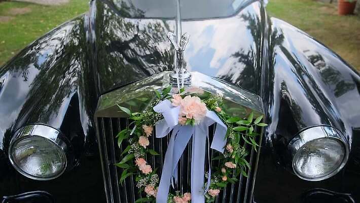 전통 꽃 결혼 장신구 자동차 거리 사람없음 야외 장식 화환 범퍼 4K MOV 해외동영상 클립영상 식물 육상교통 이벤트 동영상 파일형식