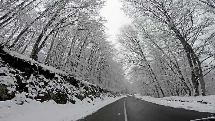 나무 구름 계절 공원 도로 여행 백그라운드 겨울 교통시설 자동차 자연 하늘 날씨 산 거리 풍경 사람없음 야외 목재 빛 냉동 얼음 회색 운전 젖음 추위 안개 흰색 도시 시간 소나무 고속도로 숲 위험 아스팔트 12월 속도 서리 전나무 1월 나쁜 방법 제설기 눈내림 1인칭시점 4K 타임랩스 MP4 해외동영상 클립영상 자연요소 식물 시선 공공시설 길 육상교통 컬러 교통 컨셉 재료 모션 눈_날씨 촬영기법 날짜 시설 생태계 동영상 제설 파일형식