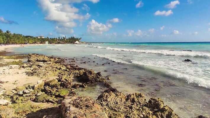 나무 모래 파도 바다 섬 여행 백그라운드 태국 자연 하늘 휴가 휴식 멕시코 손바닥 사람없음 물 파란색 태양 신혼여행 하와이 발리 보라카이 쿠바 동영상 몰디브 공화국 바하마 이국적 칸쿤 파라다이스 4K HD MP4 해외동영상 클립영상 자연요소 식물 손 나라 아시아 컬러 결혼 컨셉 북아메리카 필리핀 미국 중앙아메리카 생태계 인도네시아 파일형식