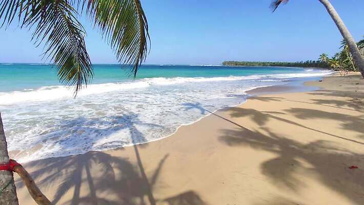 나무 모래 바다 섬 여행 자연 하늘 손바닥 사람없음 물 파란색 강 모래사장 야자수 태양 일몰 탐험 신선 대서양 내추럴 공화국 도미니카공화국 민물 이국적 코스타리카 파라다이스 4K MP4 해외동영상 클립영상 자연요소 식물 손 나라 컬러 노을 남아메리카 중앙아메리카 생태계 동영상 파일형식