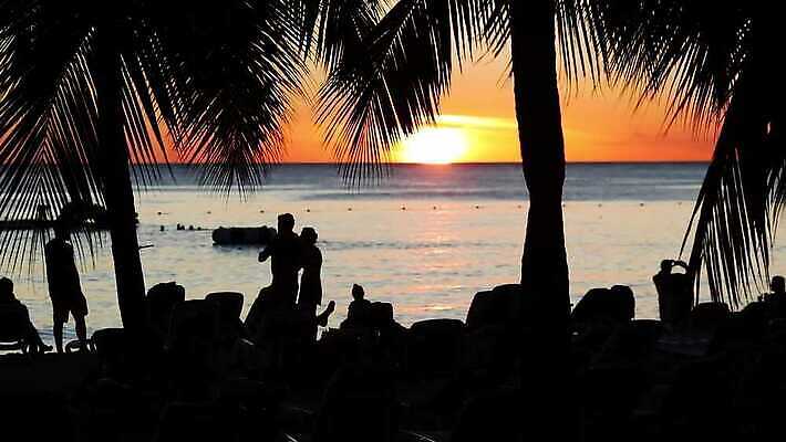 나무 라이프스타일 실루엣 모래 파도 바다 섬 여행 백그라운드 자연 하늘 휴가 휴식 손바닥 사람 사람없음 야외 물 파란색 햇빛 태양 일출 일몰 낭만 만 고급 저녁 휴양지 바하마 이국적 파라다이스 수평선 4K MP4 해외동영상 클립영상 자연요소 식물 손 컬러 컨셉 촬영기법 생활 노을 장소 야간 생태계 동영상 파일형식