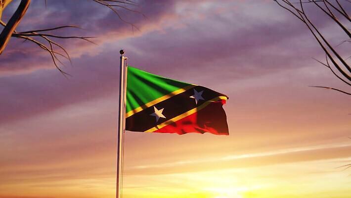 나무 배너 물결 파도 여행 하늘 아침 바람 사람없음 햇빛 태양 일출 일몰 흐름 자유 깃발 불기 민주주의 깃대 봉 애니메이션 재택근무 애국심 명예 독립 서인도제도 전국 정부 필승 4K MOV 해외동영상 슬로모션 클립영상 주간 자연요소 식물 바다 컨셉 비즈니스 모션 날씨 촬영기법 노을 우승 동영상 파일형식