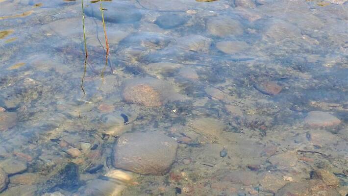 백그라운드 자연 표면 바닥 사람없음 야외 물 빛 뷰티 반사 환경 수중 젖음 신선 아래 질감 내추럴 민물 4K MP4 해외동영상 클립영상 자연요소 방향 생태계 위치 동영상 파일형식
