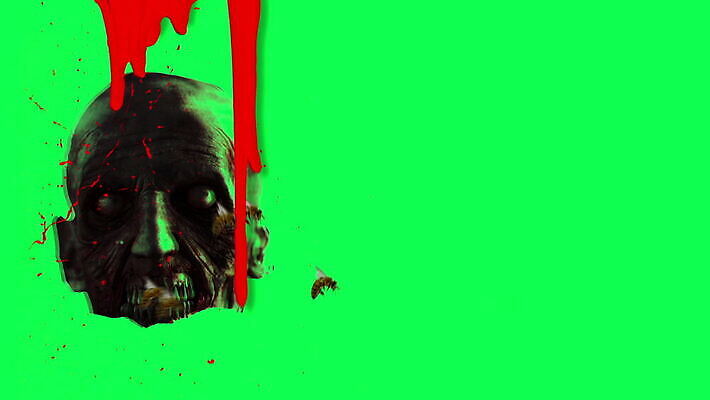 디자인 벽 곤충 백그라운드 컨셉 벽지 그림자 사람 사람없음 그래픽 빨간색 빛 반사 3D 어둠 할로윈 죽음 혈액 유령 낟알 무서움 악마 질감 만들기 공포 공상 지하 애니메이션 빛망울 벌집 나쁜 그런지 몬스터 악몽 옛날 특별함 파멸 호러 좀비 소름 오싹 MOV 해외동영상 클립영상 동물 감정 컬러 모션 디지털합성 동영상 파일형식 소멸