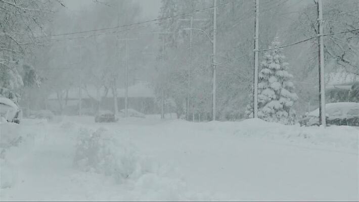 나무 계절 조각 겨울 자동차 자연 바람 날씨 거리 주택 사람없음 야외 냉동 얼음 추위 덮개 흰색 도시 보행로 지역 폭풍 타운 이웃 눈보라 축적 심각 엘리먼트 폭설 MOV 해외동영상 클립영상 자연요소 식물 길 육상교통 컬러 컨셉 눈_날씨 건물 뚜껑 자연재해 생태계 동영상 파일형식