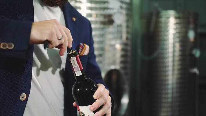 음료 유리 포도 주류 사람없음 와인 기구 알코올 바 오픈 액체 붓기 포도밭 포도나무 코르크 목 와인오프너 고립 양조장 4K MOV 해외동영상 클립영상 밭 과일 모션 재질 신체부위 과일나무 동영상 병따개 파일형식