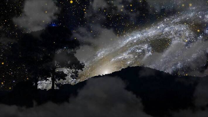 나무 실루엣 별 지구 자연 하늘 산 사람없음 야외 우주 어둠 행성 야간 은하계 궤도 4K 타임랩스 MOV 해외동영상 클립영상 자연요소 식물 촬영기법 생태계 동영상 파일형식