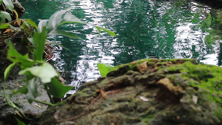 나무 식물 라이프스타일 단풍 태국 자연 날씨 사람없음 야외 물 강 마을 환경 침묵 봄 폭포 농촌 시골 연못 신선 개울 붓기 민물 핸드메이드 MOV 해외동영상 클립영상 자연요소 계절 아시아 잎 모션 생활 소리 생태계 동영상 파일형식