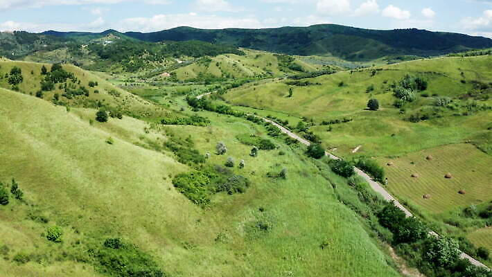 나무 자연 산 사람없음 야외 초록색 항공촬영 4K MOV 해외동영상 클립영상 식물 뷰포인트 컬러 생태계 동영상 파일형식
