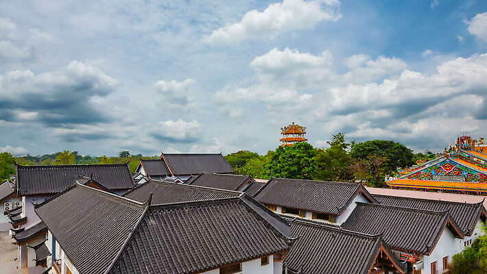 나무 식물 전통 계절 꽃잎 꽃 분홍색 백그라운드 잎 꽃무늬 태국 자연 하늘 친절 동양인 풍경 사람없음 건물 빨간색 파란색 컬러풀 뷰티 탑 일본 중국 벚꽃 흰색 사찰 개화 체리 순수 묘사 부드러움 자두 내추럴 랜드마크 4K MOV 해외동영상 클립영상 건축물 아시아 컬러 컨셉 무늬 과일 종교건축 인종 감각 생태계 동영상 파일형식