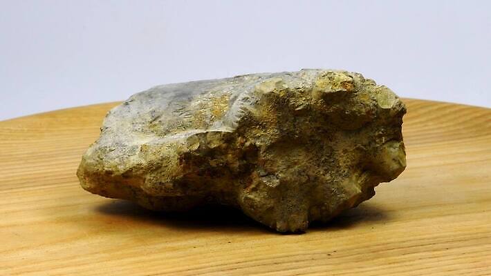 동물 야생동물 바다 탁자 독일 실내 사람없음 검은색 역사 속도 회전 과거 화석 옛날 지질학 쥬라기 4K MOV 해외동영상 클립영상 교육 유럽 컬러 가구 컨셉 내부 동영상 파일형식