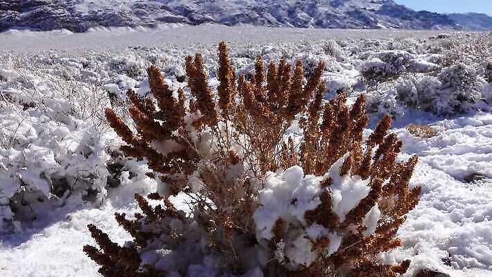 구름 공원 모래 여행 겨울 자국 자연 하늘 휴가 산 건조 파노라마 풍경 사람없음 야외 파란색 계곡 맑음 미국 트래킹 하이킹 사막 흰색 황무지 숲 언덕 캘리포니아 통과 내추럴 요세미티국립공원 전국 절정 4K MP4 해외동영상 클립영상 자연요소 계절 공공시설 컬러 북아메리카 레저 날씨 촬영기법 국립공원 생태계 동영상 파일형식