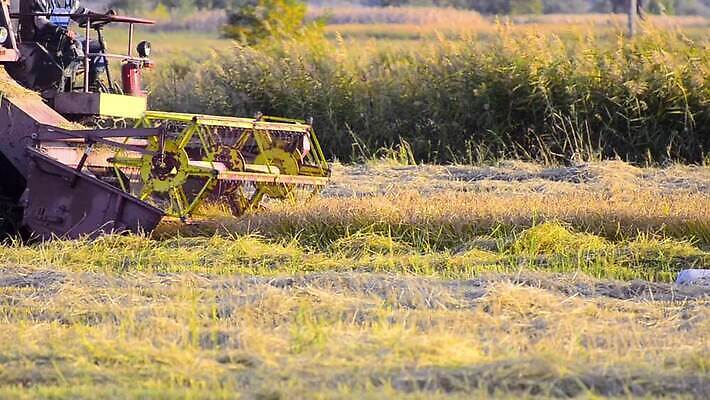 산업 밭 농업 사람없음 농작물 농장 농경지 기계 장비 운전 모임 수확 작업 수술 농부 결합 낟알 자르기 밀 수집 보리 밀짚 정의 돌리기 밭일 포상금 헤딩 호밀 HD MOV 해외동영상 클립영상 직업 돈 의학 모션 곡류 치료 축구 짚 동영상 파일형식