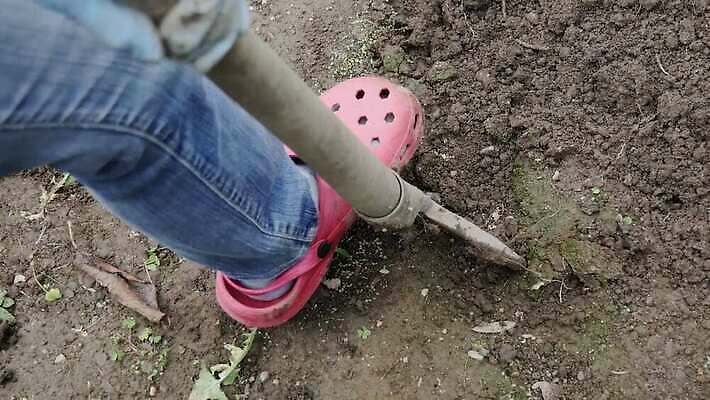 1 지구 포크 컨셉 농업 채소 모션 발 자연 사람 사람없음 야외 정원 흙 봄 공구 시골 작업 닫기 원예 먼지 진흙 땅바닥 땅파기 밭일 쇠스랑 양발 4K MP4 해외동영상 클립영상 식기 계절 산업 바닥 취미 신체부위 도구 생태계 동영상 파일형식