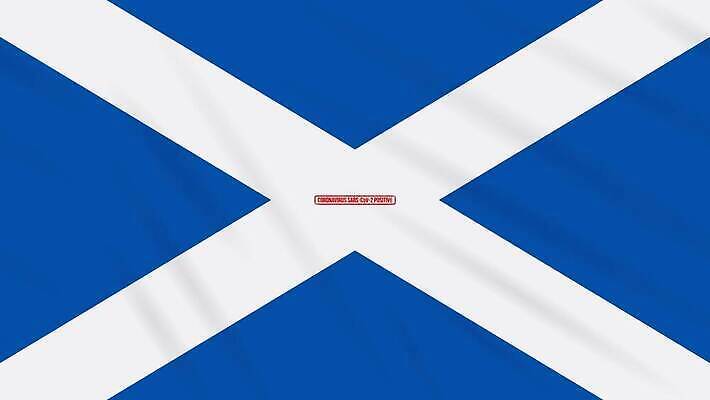 과학 백그라운드 건강 사람없음 치료 빨간색 약 자유 깃발 고리 바이러스 질병 디지털합성 예방 생물학 긍정 감염 미생물 애니메이션 우표 박테리아 백신 부정적 전염병 증상 치유 항생제 사스 스코틀랜드 코로나바이러스 4K MOV 해외동영상 클립영상 교육 감정 컬러 컨셉 의학 영국 생물 동영상 파일형식