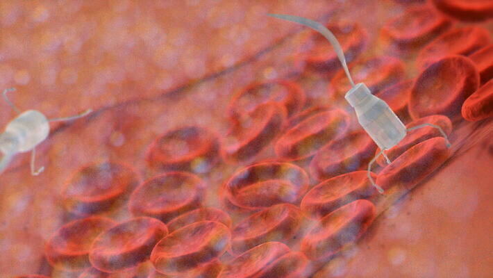 세포 엑스레이 사람없음 치료 빨간색 약 수영 기계 혈액 로봇 암 공학 미니 종양 4K MOV 해외동영상 클립영상 교육 컬러 의학 수상스포츠 질병 동영상 파일형식