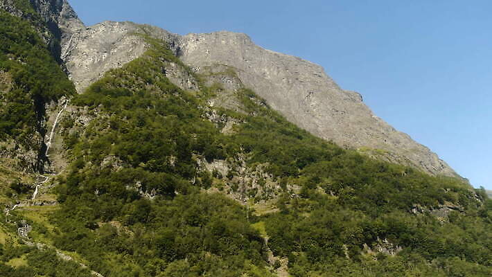 주간 나무 여행 자연 산 노르웨이 사람없음 파란색 강 계곡 폭포 보트 숲 언덕 북쪽 스칸디나비아 피오르 4K MOV 해외동영상 클립영상 자연요소 식물 유럽 컬러 배_교통 방향 생태계 지형 동영상 파일형식