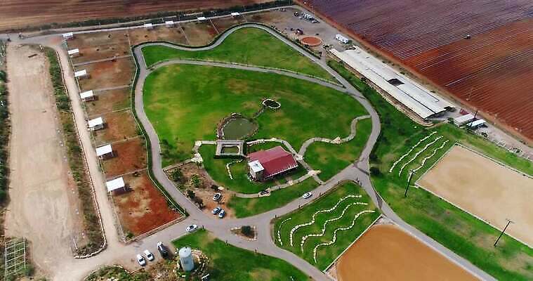 동물 라이프스타일 디자인 도로 야생동물 스포츠 건축양식 포유류 자연 부동산 주택 사람없음 야외 가로 초록색 울타리 운동 농가 농경지 가축 목장 시골 황무지 승마 재산 카우보이 승차 큼 기수 외양간 되감기 라이더 서쪽 오지 조감도 4K MOV 해외동영상 클립영상 건축 길 컬러 교통시설 모션 건강 건물 생활 금융 담장 농장 크기 방향 생태계 동영상 파일형식