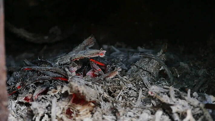 백그라운드 겨울 오렌지 자연 불꽃 벽돌 실내 따뜻함 사람없음 목재 빨간색 빛 노란색 검은색 에너지 뜨거움 오븐 그릴 위험 장작 모닥불 난로 통나무 연소 석탄 용광로 지옥 화상 MOV 해외동영상 슬로모션 클립영상 나무 계절 컬러 컨셉 과일 재료 주방용품 불 촬영기법 내부 가전제품 상처 난방기 생태계 동영상 파일형식