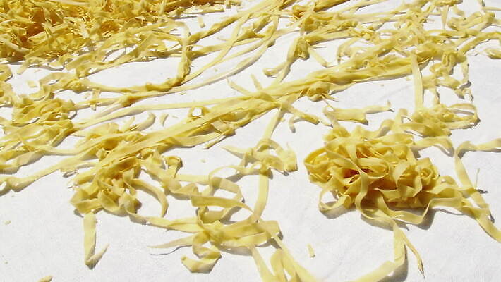 손 줄 음식 빵 탁자 주택 건조 파스타 건강 스파게티 사람없음 햇빛 노란색 이탈리아 면 업무 수프 자르기 시리얼 반죽 밀가루 라비올리 라자냐 마카로니 이스트 핸드메이드 토르텔리니 4K MOV 해외동영상 클립영상 유럽 컬러 가구 모션 서양음식 건물 신체부위 태양 작업 이탈리아음식 가루 동영상 파스타면 파일형식