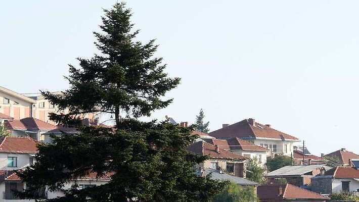 나무 전통 여행 백그라운드 컨셉 건축양식 자연 지붕 날씨 휴가 산 주택 파노라마 풍경 사람없음 건물 여름 도시풍경 마을 환경 놀람 깃발 도시 역사 숲 언덕 그림 생태계 침엽수 타운 구시가지 복잡 생태학 사이프러스 4K MOV 해외동영상 클립영상 식물 건축물 계절 교육 건축 감정 촬영기법 표정 동영상 파일형식