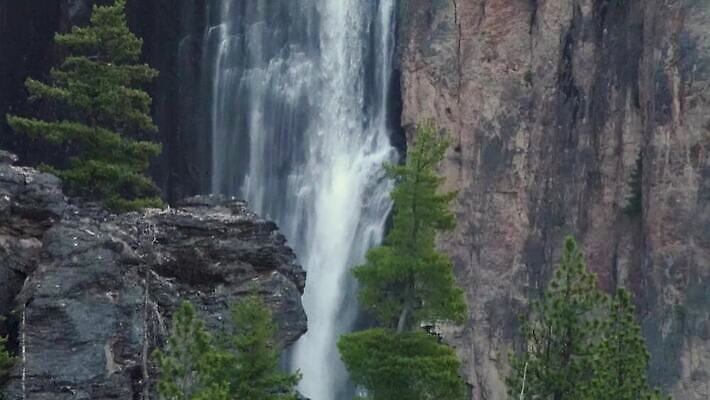 나무 자연 산 사람없음 야외 물 강 골짜기 폭포 흐름 신선 개울 숲 삼림지대 워싱턴 전국 지질학 로키산맥 4K MP4 해외동영상 클립영상 자연요소 식물 교육 컨셉 미국 생태계 동영상 파일형식