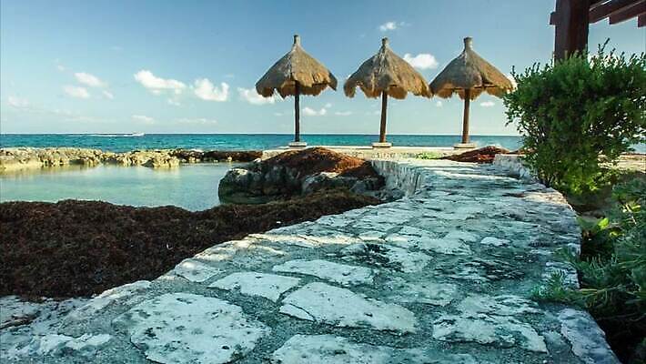 모래 파도 바다 섬 여행 우산 자연 휴가 휴식 멕시코 손바닥 해변 사람없음 관광지 야자수 태양 뷰티 평화 일몰 뜨거움 충돌 묘사 휴양지 암초 마야 이국적 칸쿤 파라다이스 화창 MP4 해외동영상 클립영상 자연요소 나무 손 컨셉 북아메리카 날씨 노을 장소 생태계 마야문명 동영상 파일형식