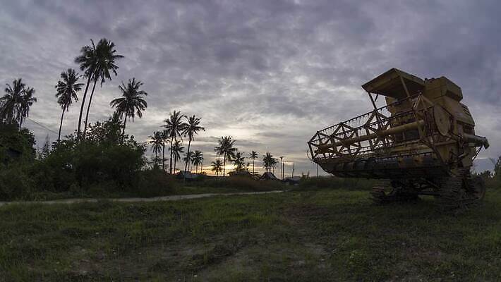 나무 식물 계절 백그라운드 잎 밭 농업 자연 하늘 건강 풍경 초원 사람없음 야외 초록색 농작물 농장 농경지 노란색 일출 환경 일몰 수확 성장 시골 신선 땅 유기농 장면 내추럴 밭일 숙성 4K 타임랩스 MP4 해외동영상 클립영상 웰빙 산업 컬러 촬영기법 노을 생태계 동영상 파일형식